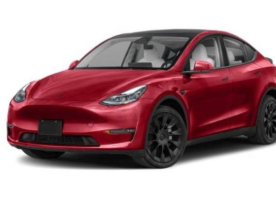 TESLA MODEL Y 2024 7SAYGDEF1RF078517 image